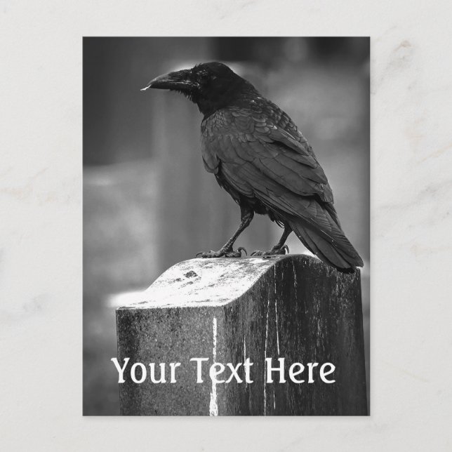 Cartão Postal Falha Ao Encontrar Uma Pena (Frente)