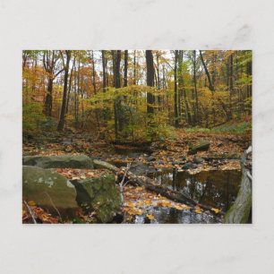 Cartão Postal Fall Creek com Reflexo no Laurel Hill Park