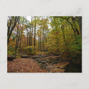 Cartão Postal Fall Creek no Laurel Hill State Park Pensilvânia