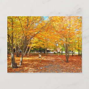Cartão postal Fall Foliage Canyon Sainte Anne Queb