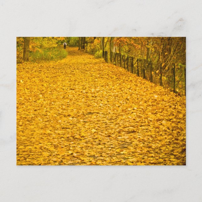 CARTÃO POSTAL FALL FOLIAGE VAN CORTLANDT PARK NEW YORK (Frente)