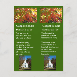 Cartão Postal Fall Zone Rally rev 3