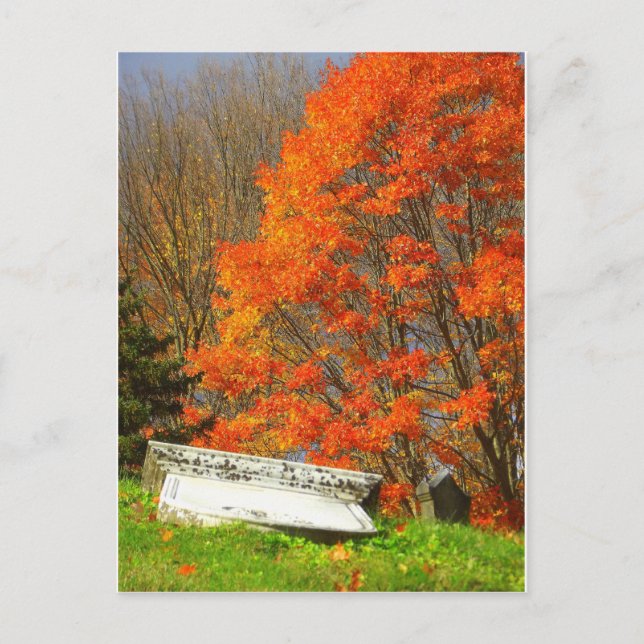 Cartão Postal Fallen (Frente)