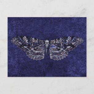 Cartão Postal Falln Deathshead Moth