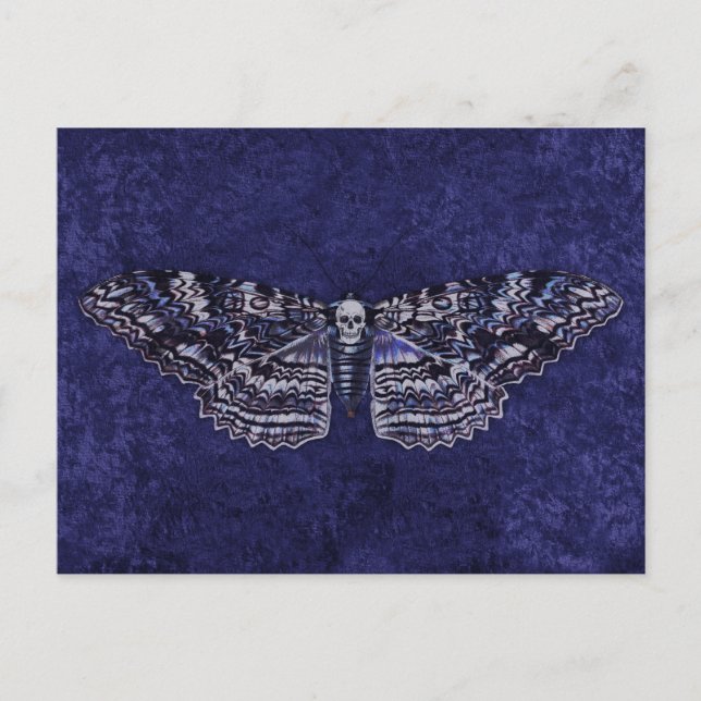 Cartão Postal Falln Deathshead Moth (Frente)