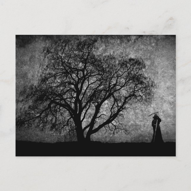 Cartão Postal Falln Grim Reaper - Limites de Arte Original Entre (Frente)