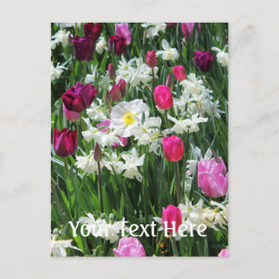 Cartão Postal Falln Romantic Primavera Morning