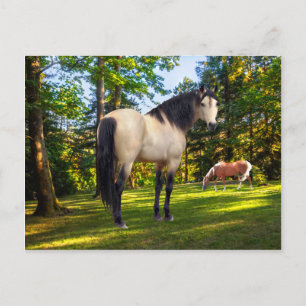 Cartão Postal "Fallon" 