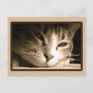 Cartão Postal Faltando você