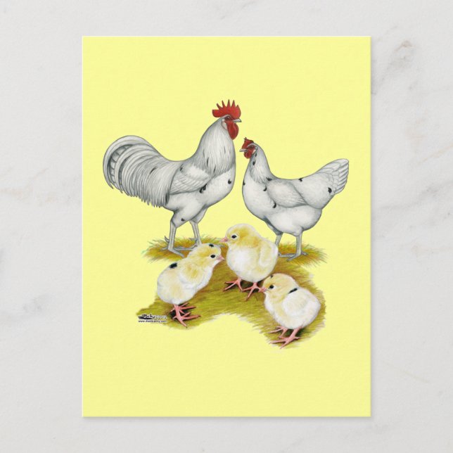 Cartão Postal Família Austra White (Frente)