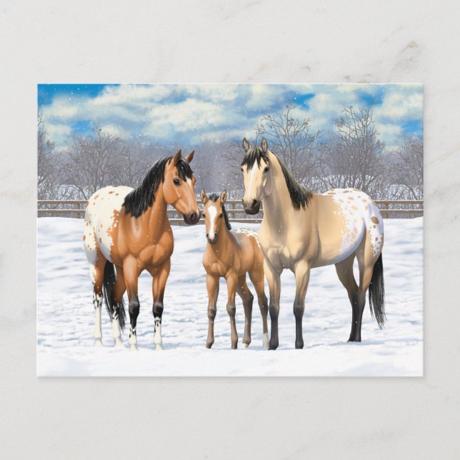 Cartão Postal Família De Cavalos Appaloosa Na Neve (Frente)