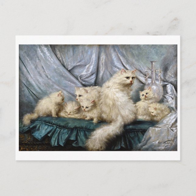 Cartão Postal Família de Gatos Brancos, Carl Kahler (Frente)