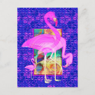 Cartão Postal Família de Prateleiras Flamingos Rosa e Arte Hibis