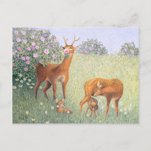 Cartão Postal Família Deer