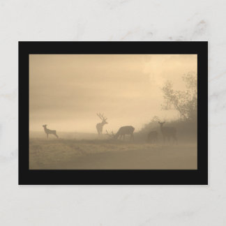 Cartão Postal Família dos Alces Nebulosos