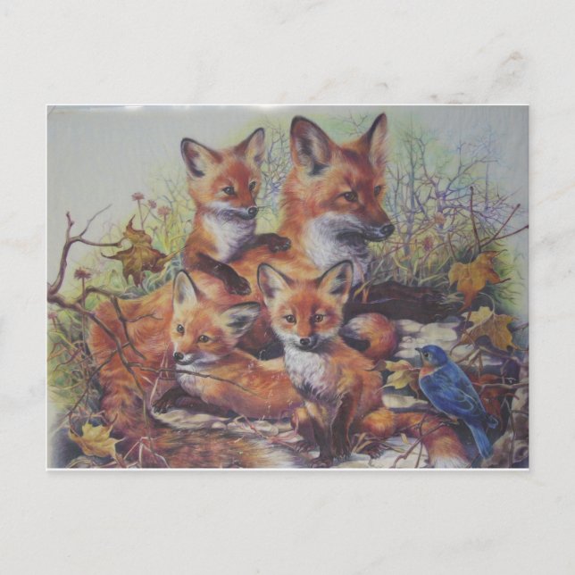 Cartão Postal Família Fox (Frente)