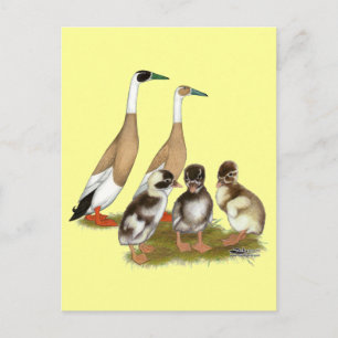 Cartão Postal Família Pencione Runner Duck Lápida