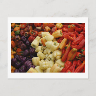 Cartão Postal Família Pepper