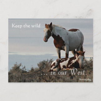 Cartão Postal Família Selvagem, Pré-endereçada: Sec do Interior