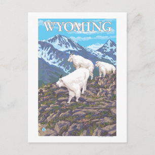 Cartão Postal Família White Mountain Goat Wyoming