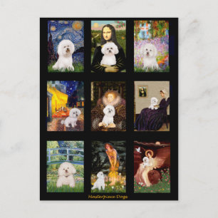 Cartão Postal Famoso Bichon Frise Composto de Arte