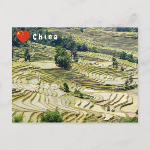 Cartão Postal Famosos terraços de arroz yuanyang - Yunnan, Chin