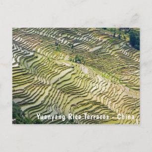 Cartão Postal Famosos terraços de arroz yuanyang - Yunnan, Chin