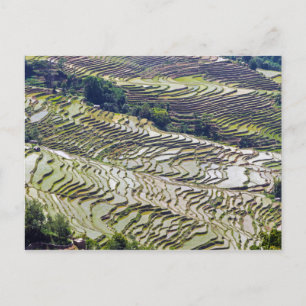 Cartão Postal Famosos terraços de arroz yuanyang - Yunnan, Chin