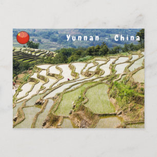 Cartão Postal Famosos terraços de arroz yuanyang - Yunnan, Chin