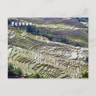 Cartão Postal Famosos terraços de arroz yuanyang - Yunnan, China