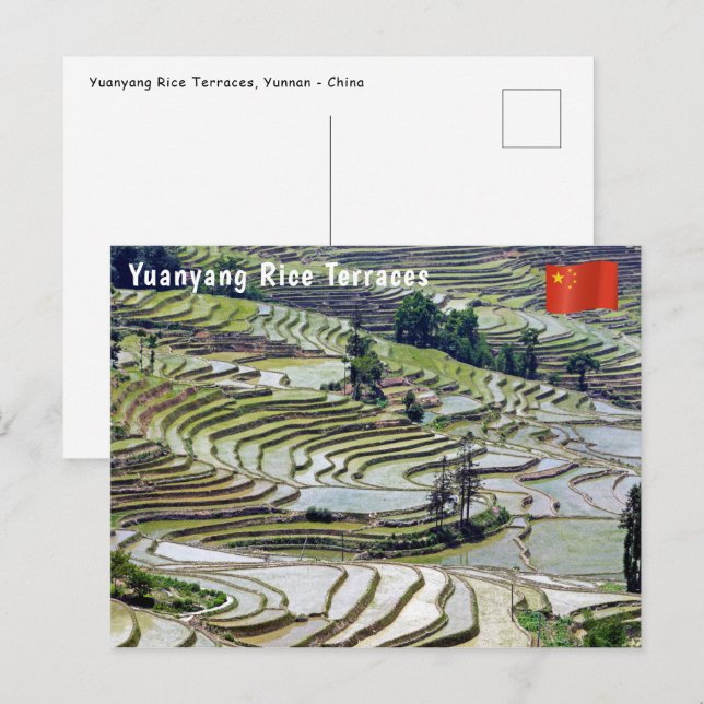 Cartão Postal Famosos terraços de arroz yuanyang - Yunnan, China (Frente/Verso)