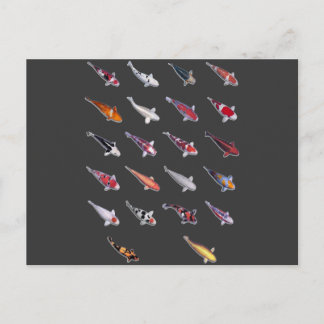 Cartão Postal Fanatical Sobre Koi