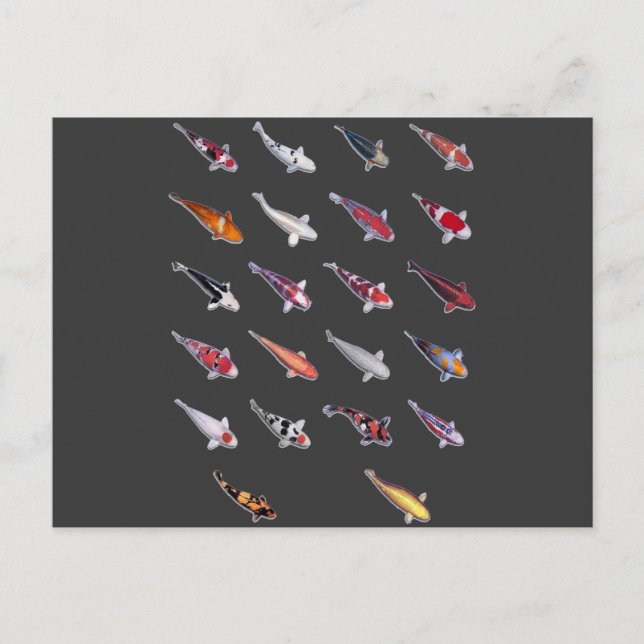 Cartão Postal Fanatical Sobre Koi (Frente)