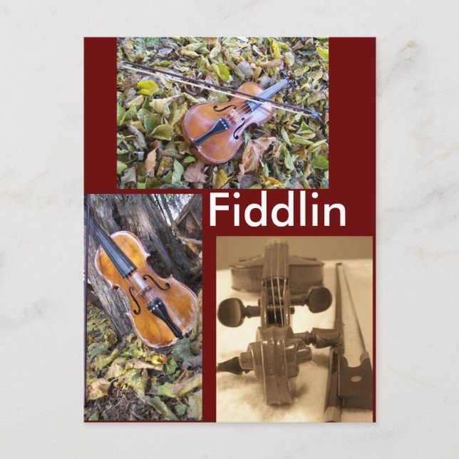 cartão postal fanático do fiddlin (Frente)