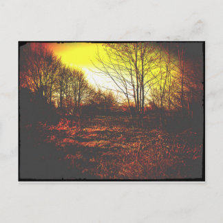 Cartão Postal fantasia