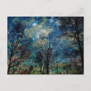 Cartão Postal Fantasy Forest Celestial Woods Night Stars
