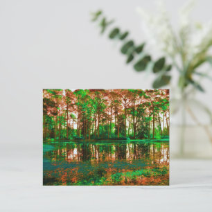 Cartão Postal Fantasy Forest por Shirley Taylor