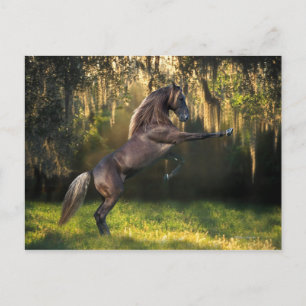 Cartão Postal Fantasy Horses: Príncipe Guerreiro