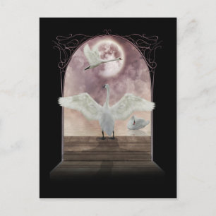 Cartão Postal Fantasy Swan Postcard Art