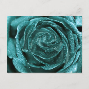 Cartão Postal Fantasy Teal Rosa