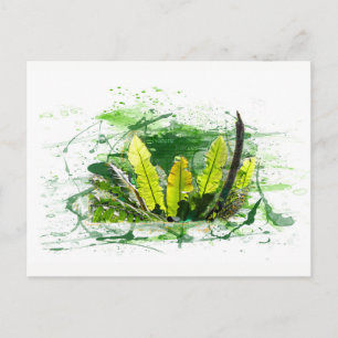 Cartão Postal Farn, Blätter, Dschungel, Landschaft, Natureza