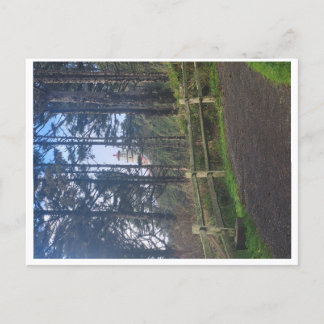 Cartão Postal Farol da cabeça de Heceta a partir da trilha