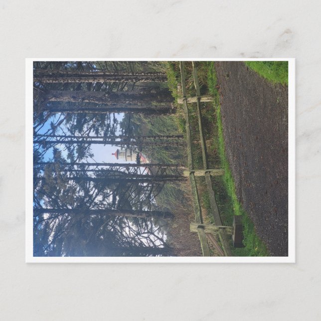 Cartão Postal Farol da cabeça de Heceta a partir da trilha (Frente)