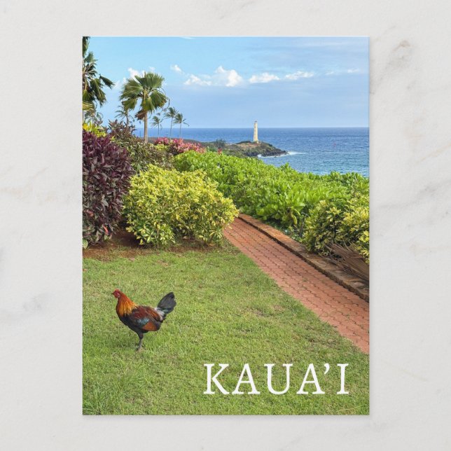 Cartão Postal Farol de Kauai Ninini Point Havaí (Frente)