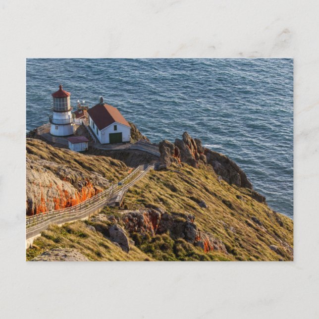 Cartão Postal Farol em Point Reyes National Seashore (Frente)