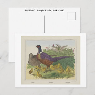 Cartão Postal FASÃO Joseph Scholz, 1829 - 1880