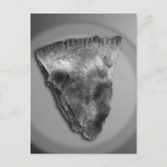 Cartão Postal Fatia de Pizza de Maçã (Frente)