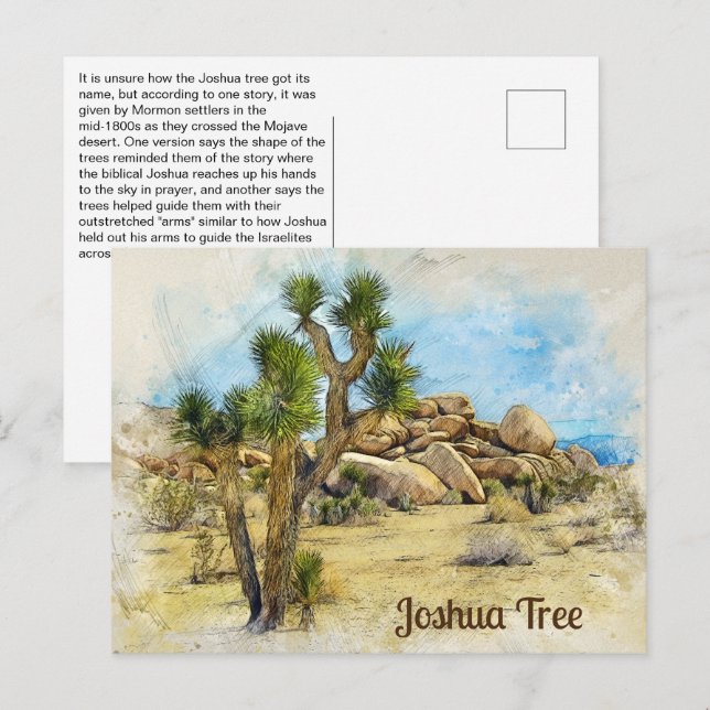Cartão Postal Fato de diversão de Joshua Tree (Frente/Verso)