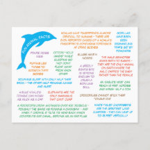 Fatos Divertidos Sobre Animais Fofos & Coloridos