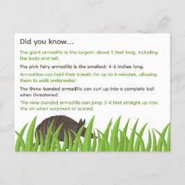 Cartão Postal Fatos Divertidos Sobre Armadillos